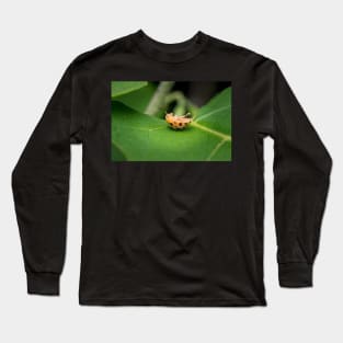 A silly 28-spotted potato ladybird rolled onto its back Long Sleeve T-Shirt